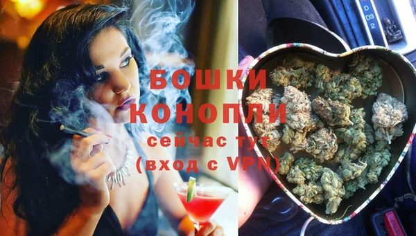прущие крисы Апатиты