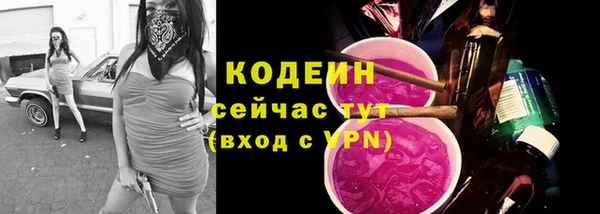 эйфоретик Анжеро-Судженск