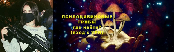 прущие крисы Апатиты