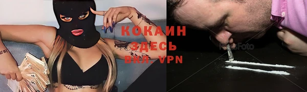 прущие крисы Апатиты