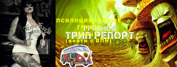 эйфоретик Анжеро-Судженск