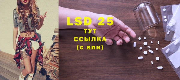 прущие крисы Апатиты