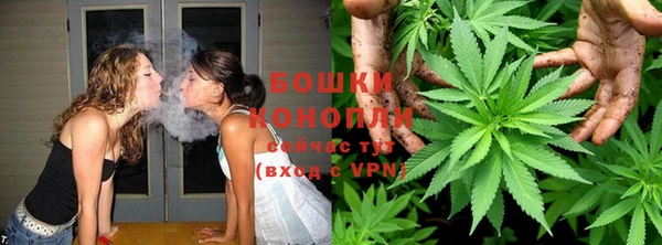 молекула духа Анива