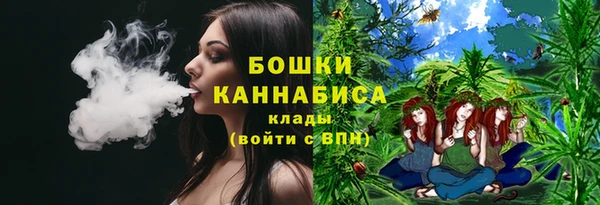 эйфоретик Анжеро-Судженск