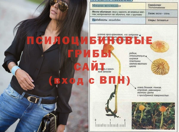 молекула духа Анива