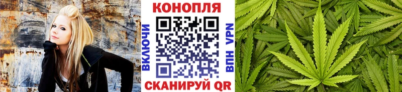 Бошки Шишки тримм  Карпинск 